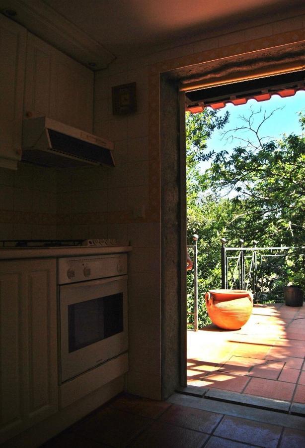 Quinta Do Freixieiro Villa Cinfaes Ngoại thất bức ảnh